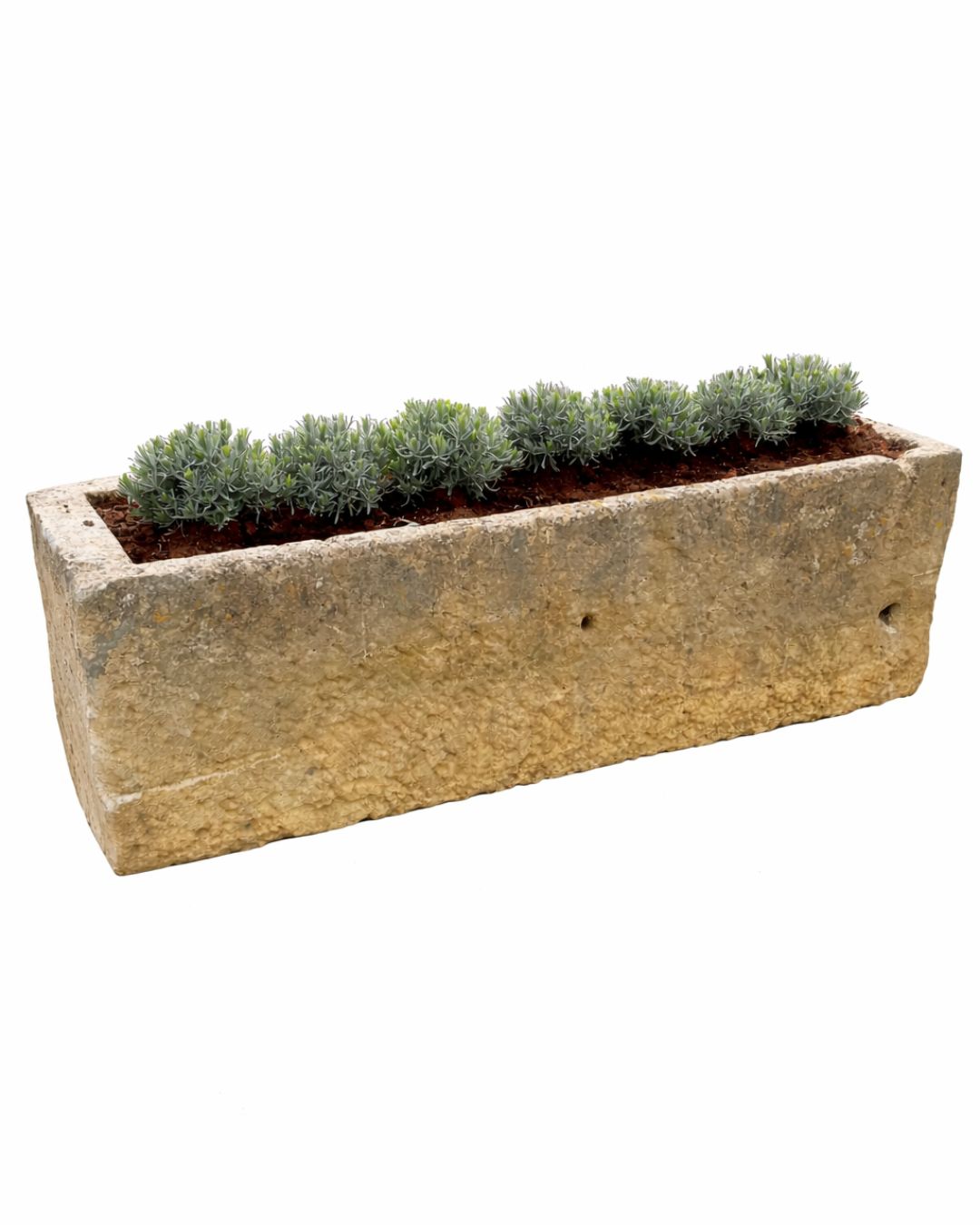 Oude drinkbak (60 x 200 x 52 cm)