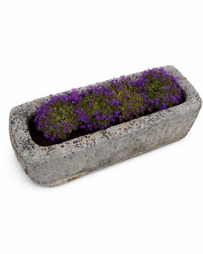 Oude drinkbak (40 x 100 x 32 cm)