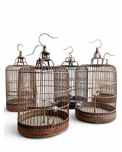 Cage à oiseaux originale