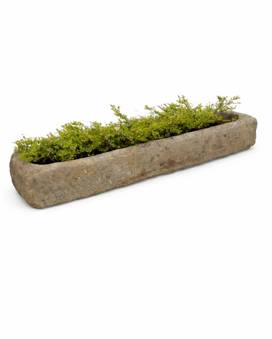 Old water trough (45 x 223 x 28 cm)