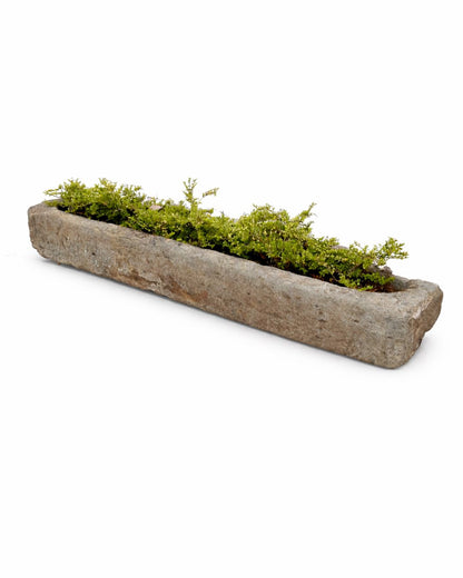 Oude drinkbak (45 x 223 x 28 cm)