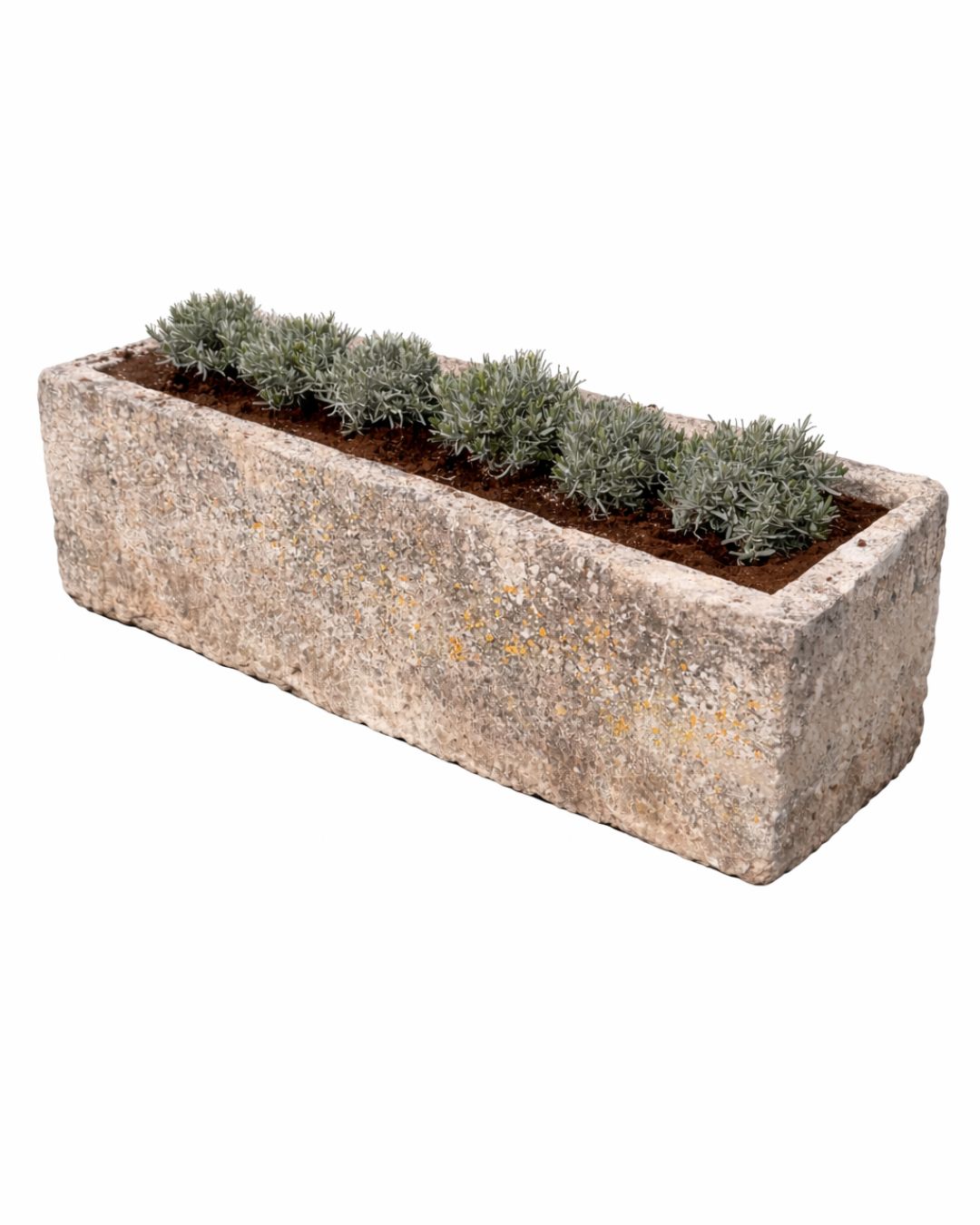 Oude drinkbak (60 x 200 x 52 cm)