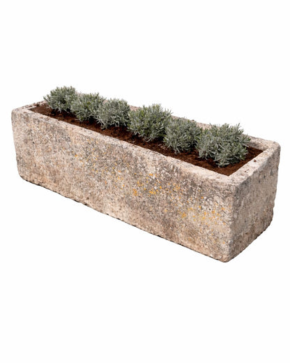 Oude drinkbak (60 x 200 x 52 cm)