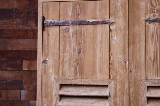 Volets (F62) (109 x 172,5 cm)