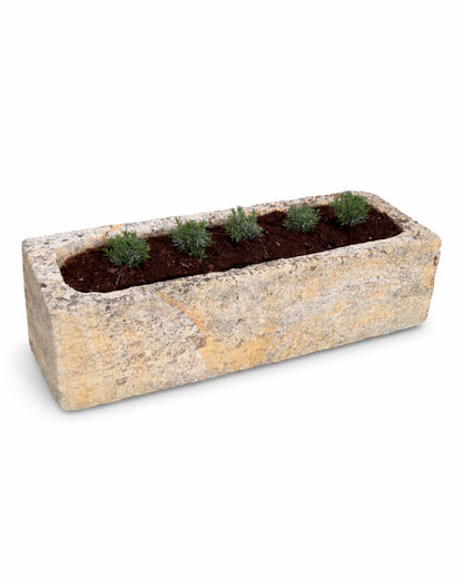 Ancien abreuvoir (44 x 126 x 29 cm)