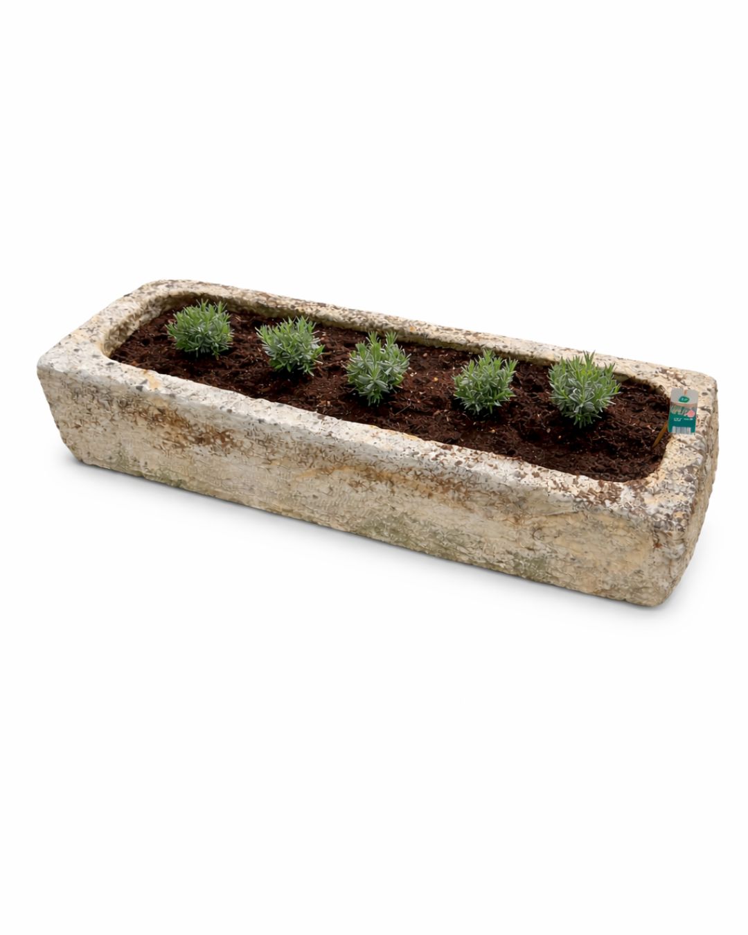 Ancien abreuvoir (44 x 126 x 29 cm)