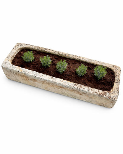 Ancien abreuvoir (44 x 126 x 29 cm)