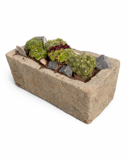 Ancien abreuvoir (31 x 64 x 28 cm)
