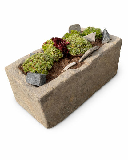 Ancien abreuvoir (31 x 64 x 28 cm)