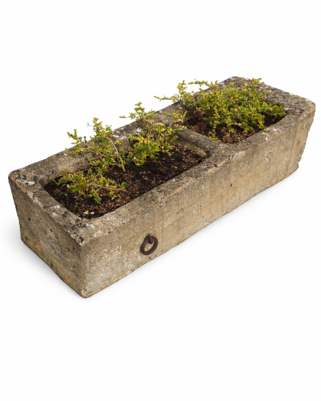 Old water trough (47 x 147 x 28 cm)