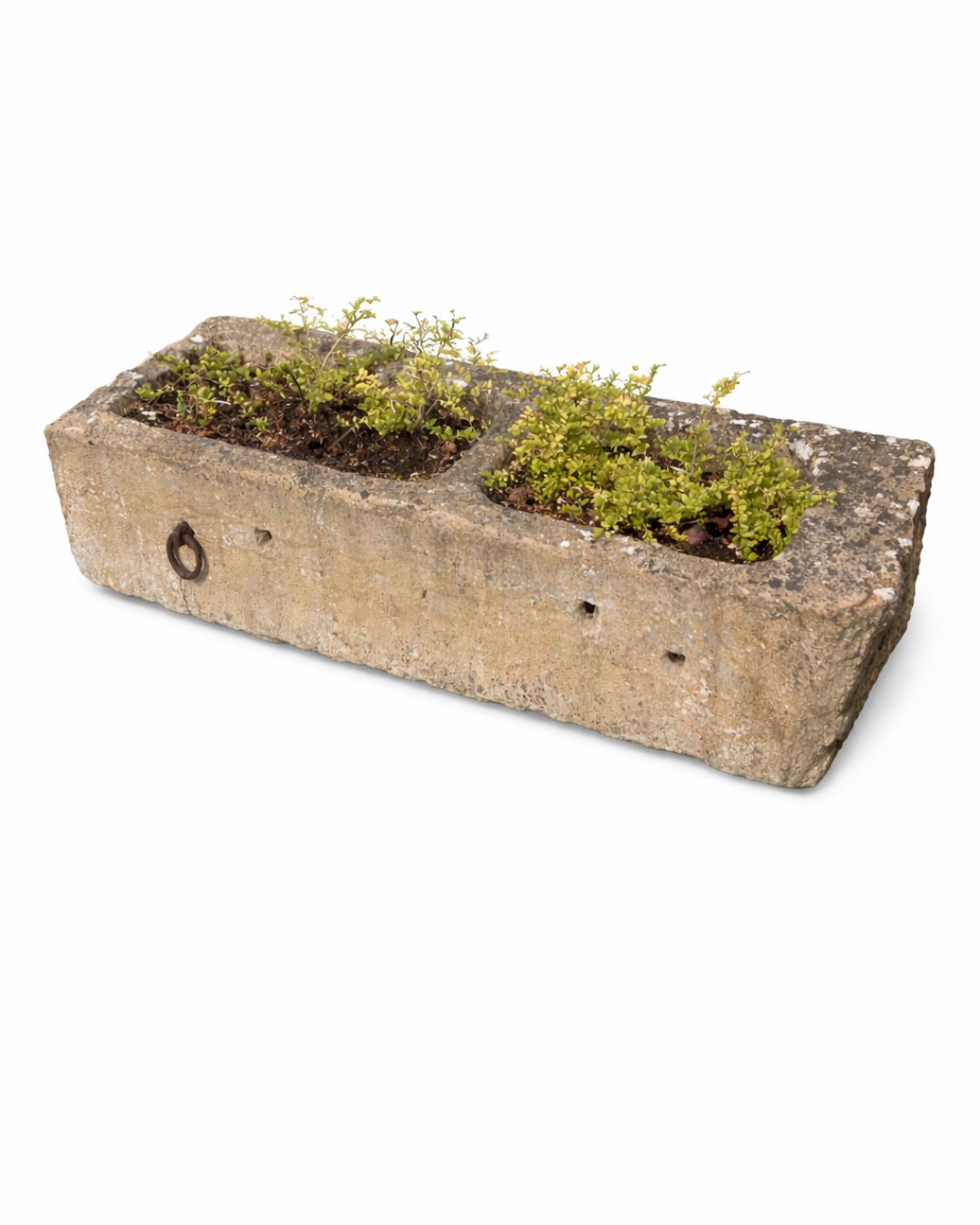 Old water trough (47 x 147 x 28 cm)