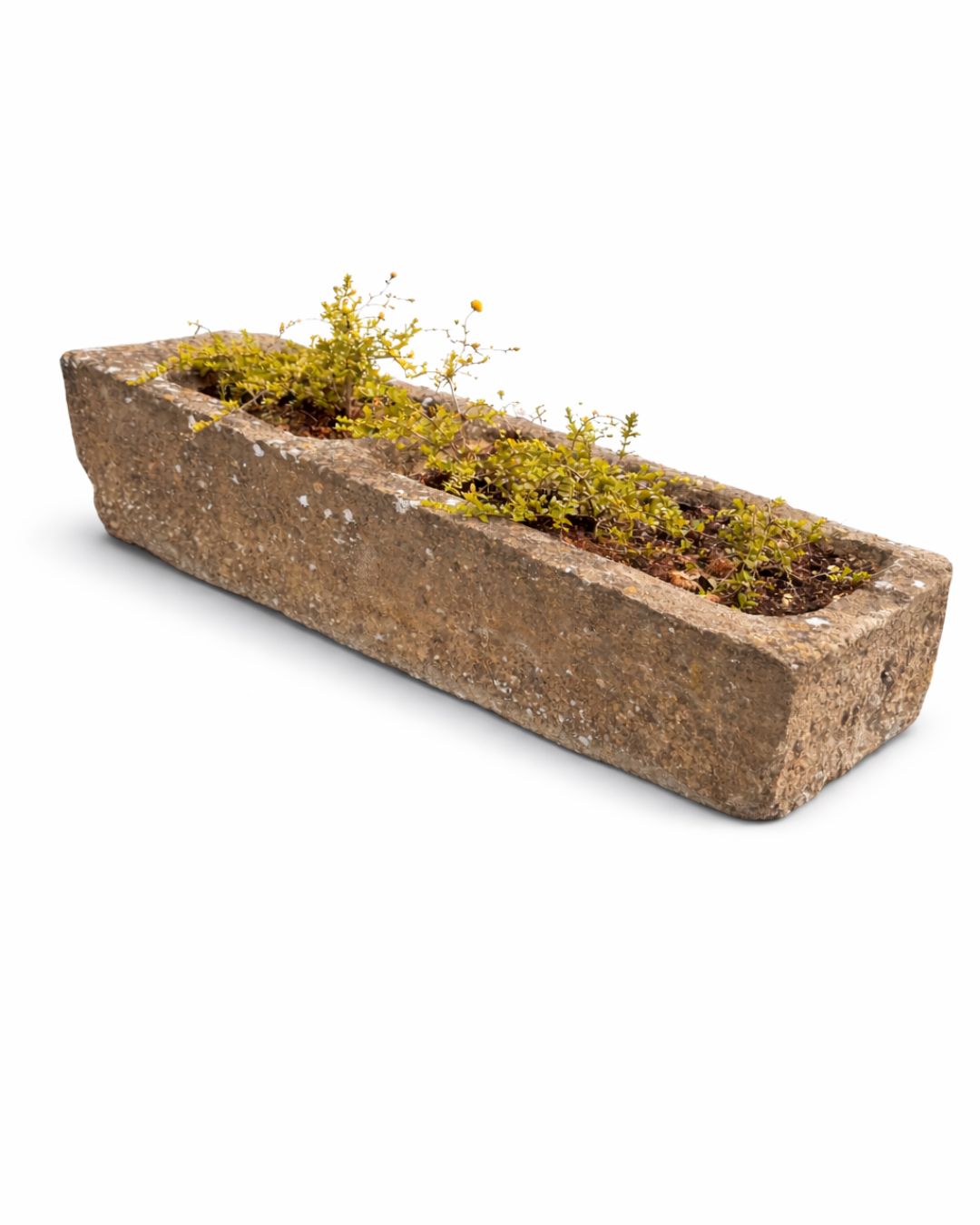 Old water trough (47 x 147 x 28 cm)
