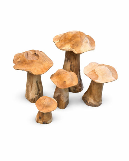 Paddenstoelen - set van 5