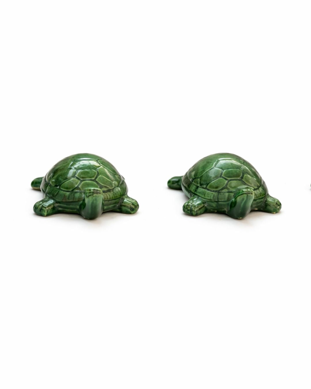 Petites tortues