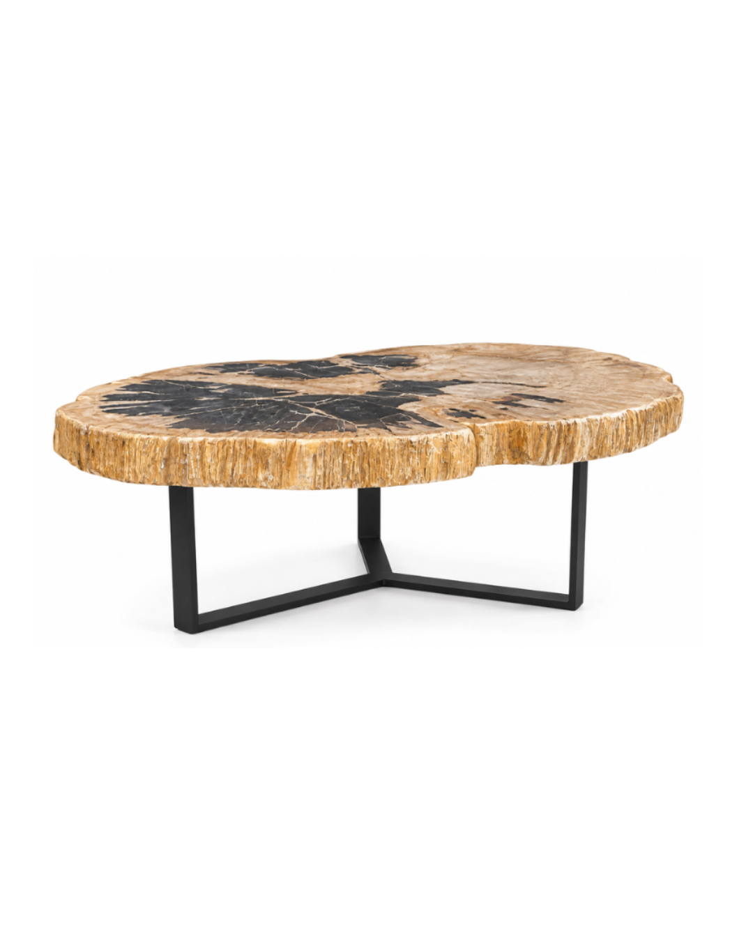 Table basse en bois pétrifié