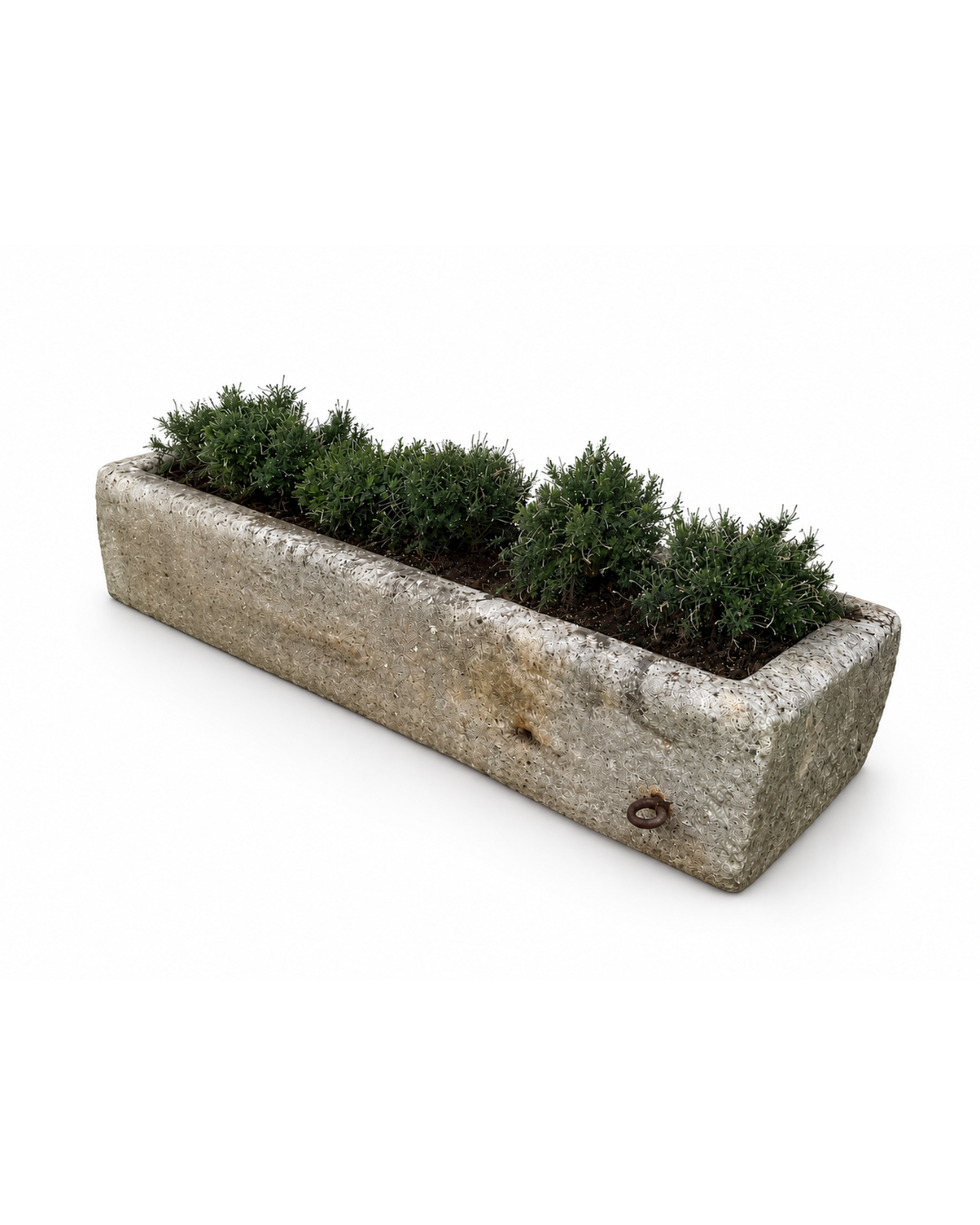 Trough (50 x 220 x 35 cm)