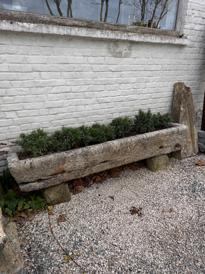 Trough (50 x 220 x 35 cm)