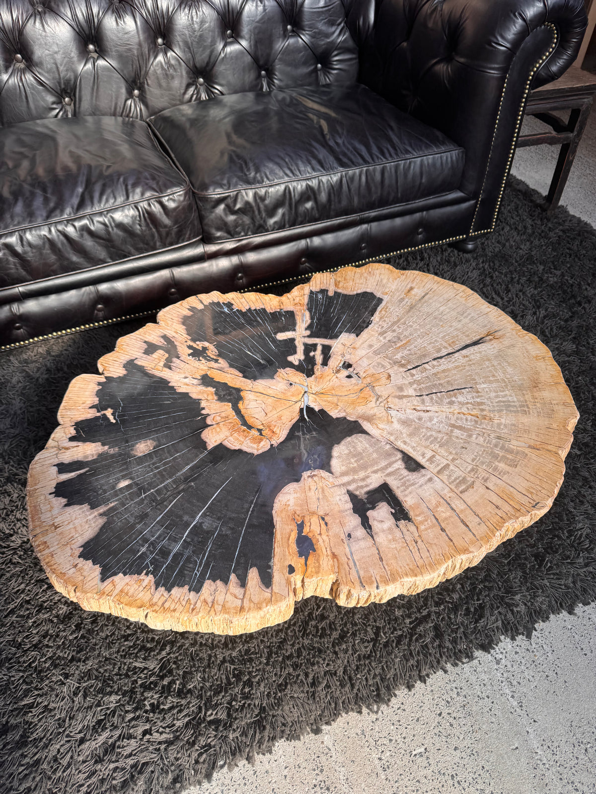 Table basse en bois pétrifié