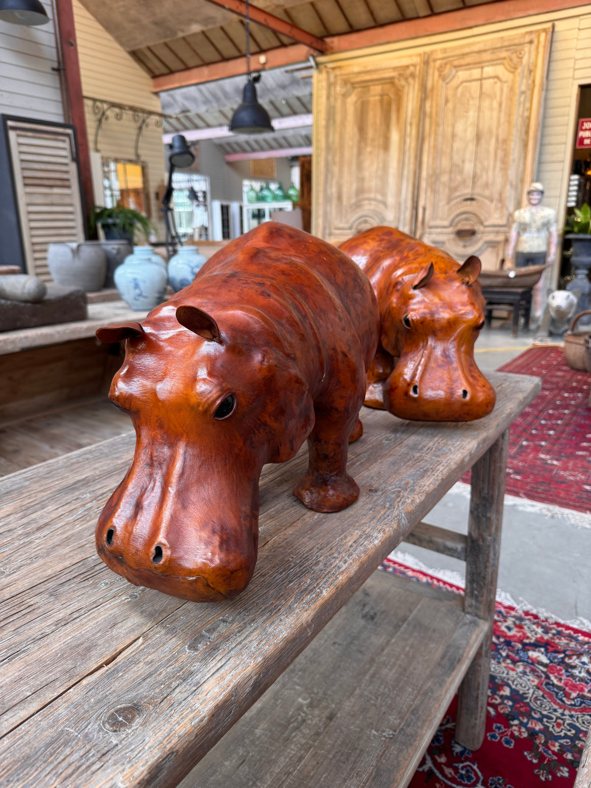 Hippopotame