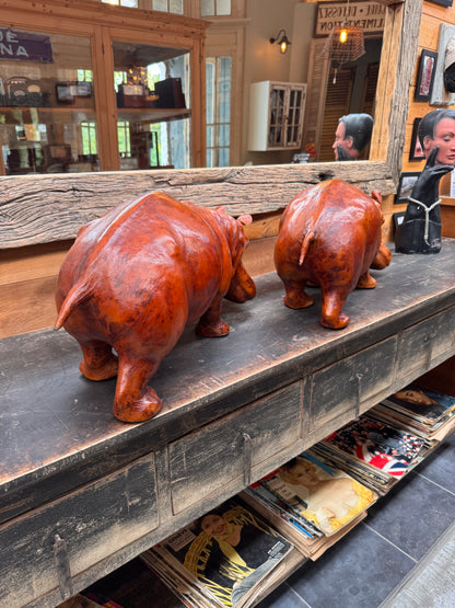 Hippopotame