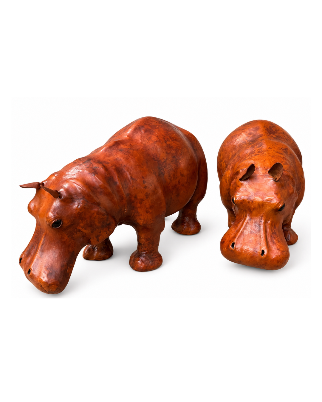 Hippopotame