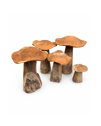 Paddenstoelen - set van 5