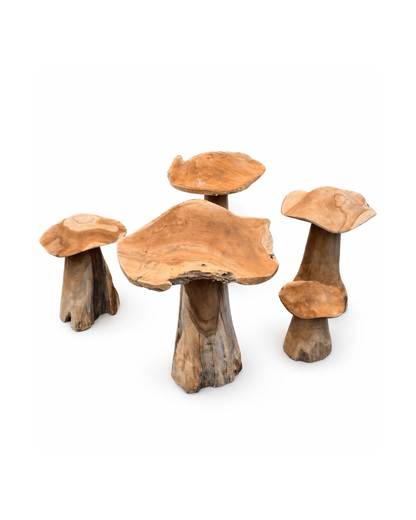 Paddenstoelen - set van 5