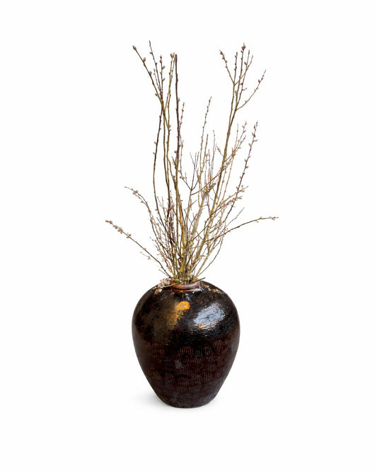 Sierpot